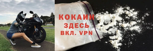 кокс Арсеньев